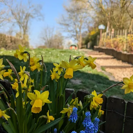 Roulotte Ravel-emoi Insolite De Charme 住宿加早餐酒店 Ramillies