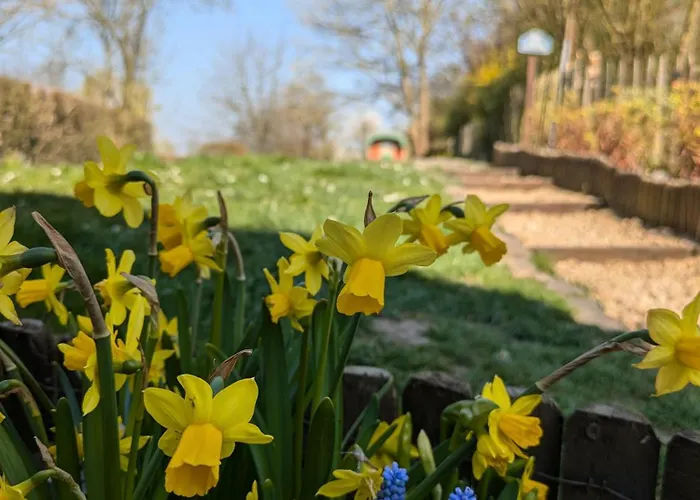Roulotte Ravel-emoi Insolite De Charme Couette-café Ramillies